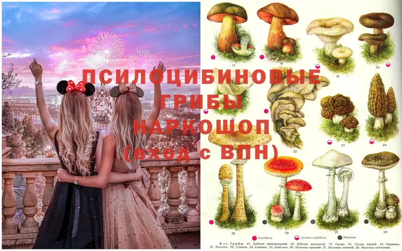 Псилоцибиновые грибы MAGIC MUSHROOMS  ссылка на мегу ССЫЛКА  Нариманов  где можно купить  